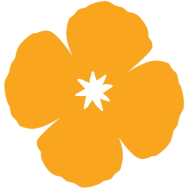 Medi-Cal logo with a poppy flower, symbolizing Medi-Cal income limits for eligibility.